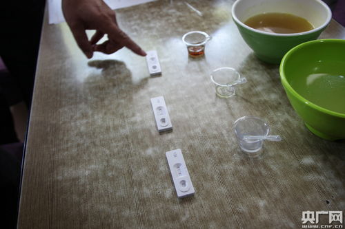 宁夏强化餐饮服务检查 多措并举筑牢食品安全防线